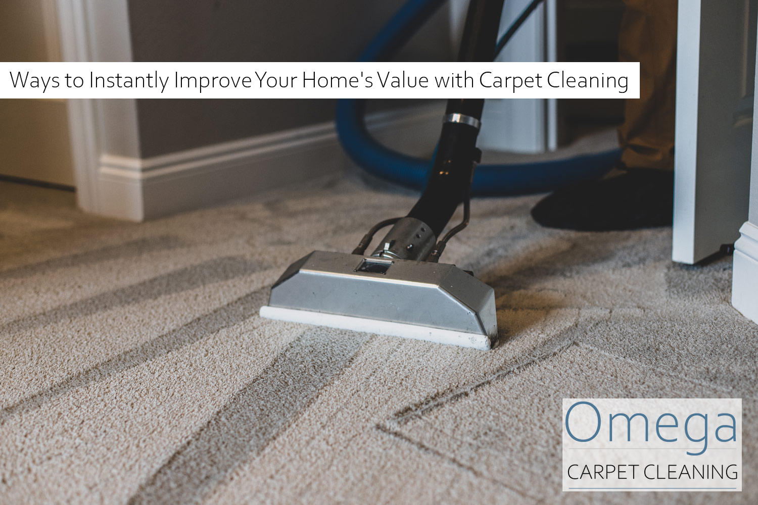 Carpet Cleaning